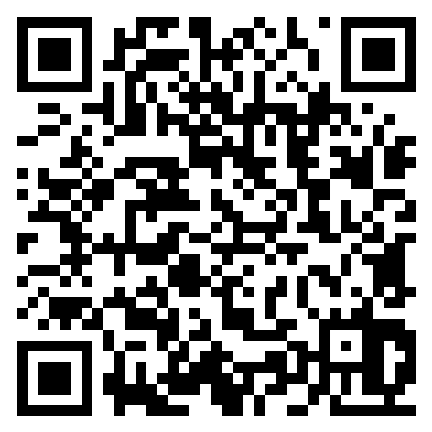 Newton Ibestad-QR-Elevevaluering.png