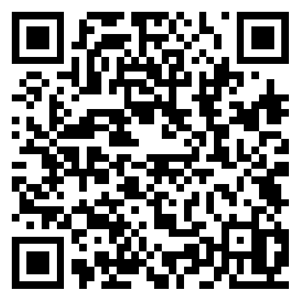 Newton RIngsaker-QR-Elevevaluering.png