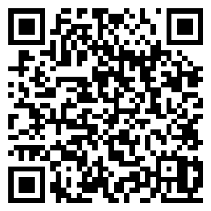 Newton Stor-Elvdal-QR-Elevevaluering.png