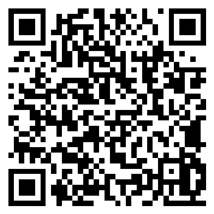 Newton Steigen-QR-Lærerevaluering.png