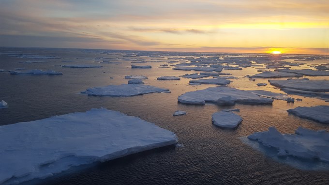 Vestisen ved Grønland under biologistudiet2.jpg