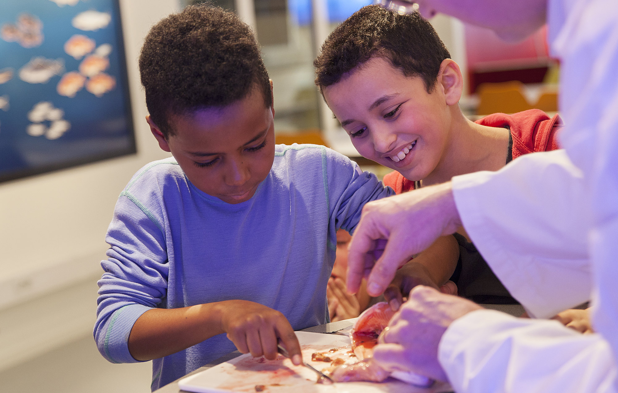 Newton concept _boys.jpg