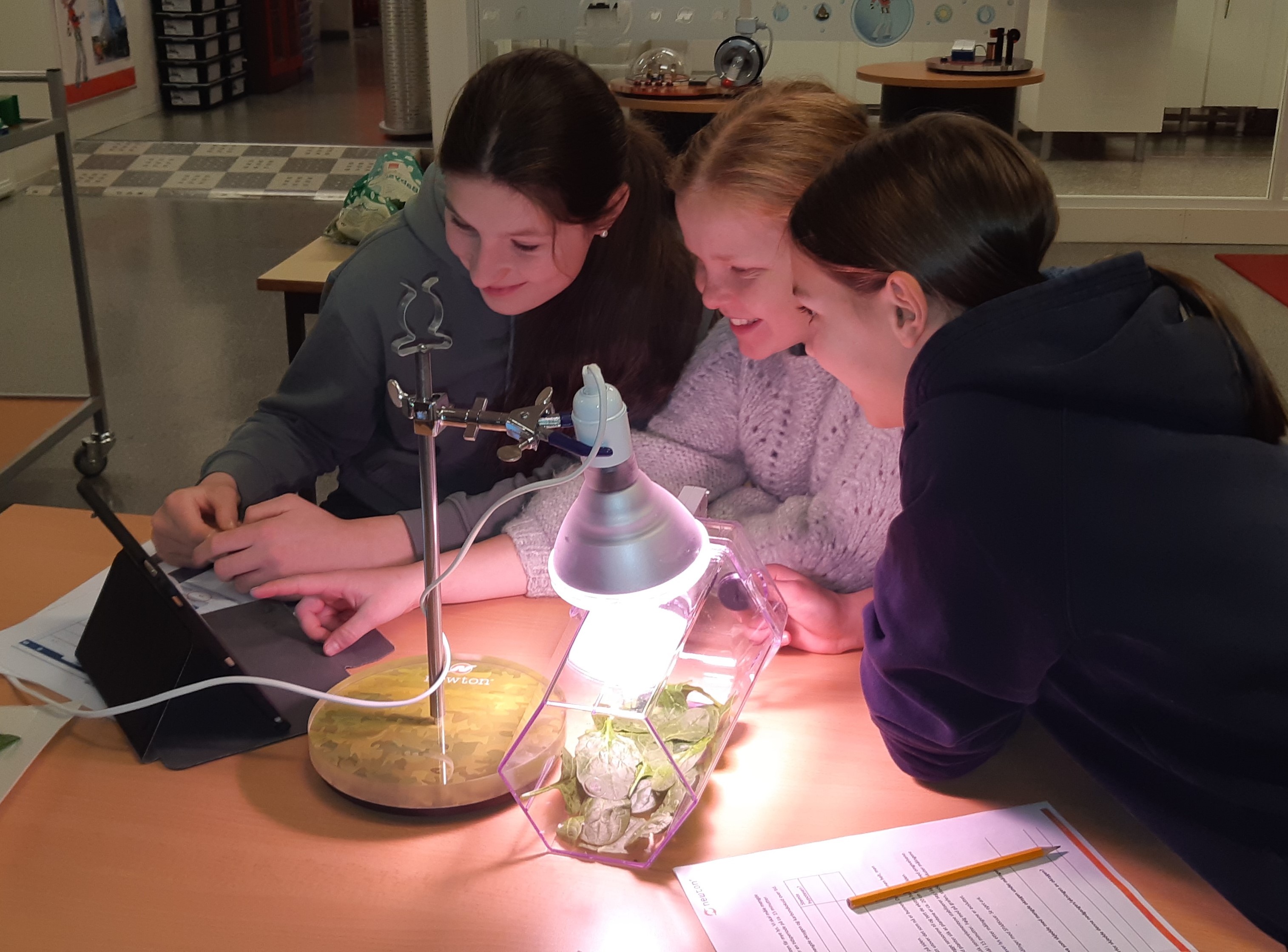 Oxygen and carbon dioxide measurements. 